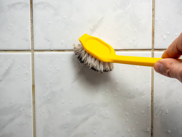 Mold Removal and Inspection in Lynwood, CA