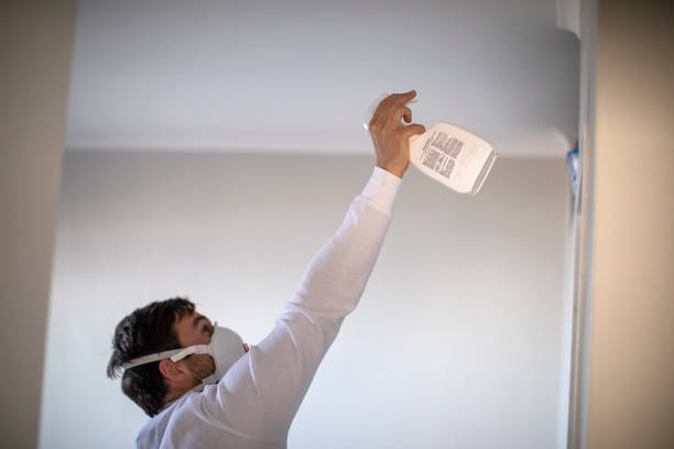 Best Best Mold Removal Companies  in Lynwood, CA